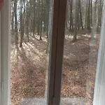 Dream For A With A Bedroom And Living Room!