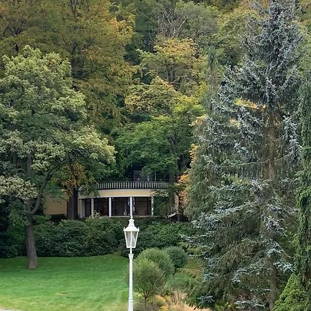 Dream For A With A Bedroom And Living Room! *