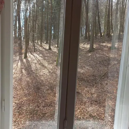 Dream For A With A Bedroom And Living Room!