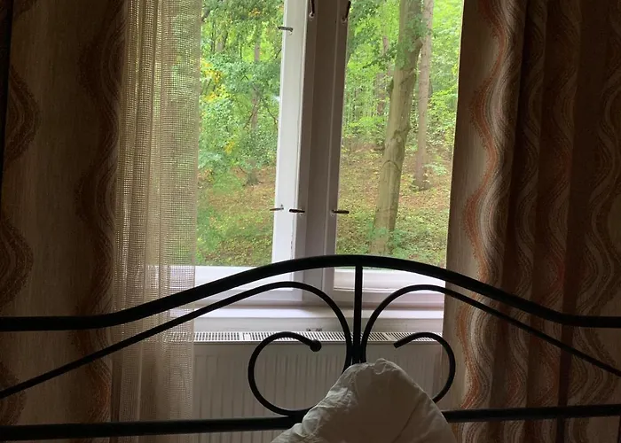 Dream For A With A Bedroom And Living Room!