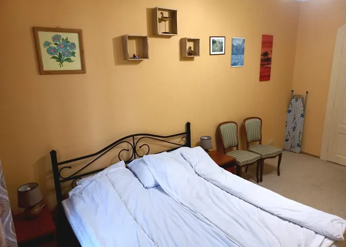 Dream For A With A Bedroom And Living Room! Daire Mariánské Lázně