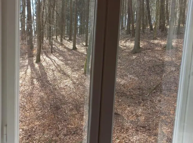 Dream For A With A Bedroom And Living Room!